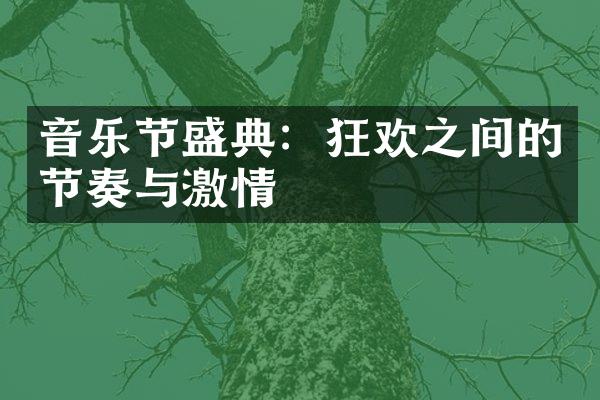 音乐节盛典：狂欢之间的节奏与激情