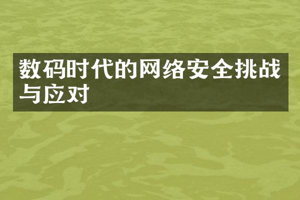 数码时代的网络安全挑战与应对