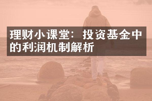 理财小课堂：投资基金中的利润机制解析