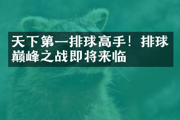 天下第一排球高手！排球巅峰之战即将来临