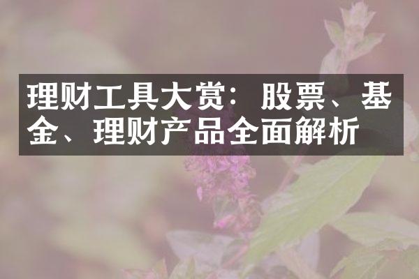 理财工具大赏：股票、基金、理财产品全面解析