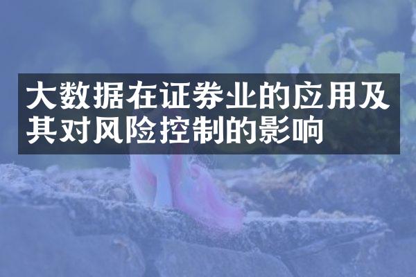 大数据在证券业的应用及其对风险控制的影响