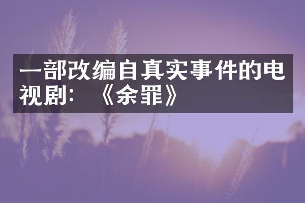 一改编自真实事件的电视剧：《余罪》