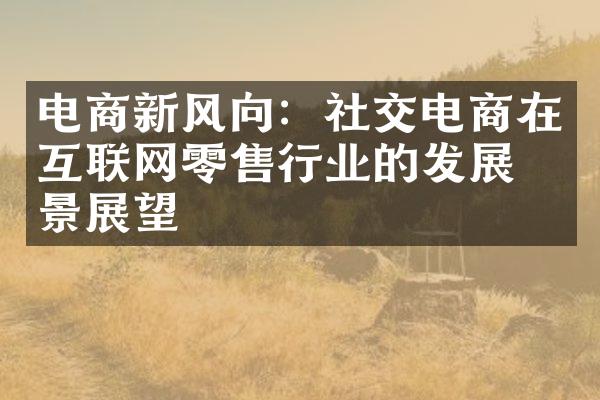 电商新风向：社交电商在互联网零售行业的发展前景展望