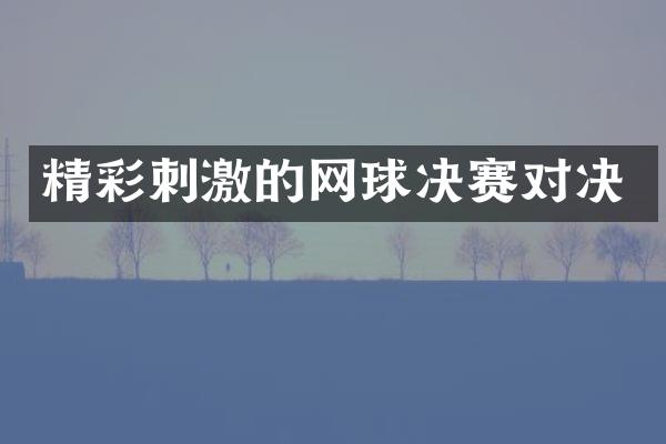 精彩刺激的网球决赛对决