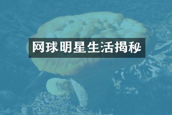 网球明星生活揭秘