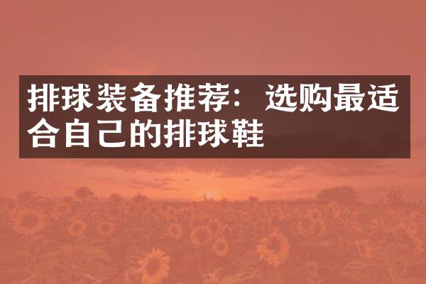 排球装备推荐：选购最适合自己的排球鞋