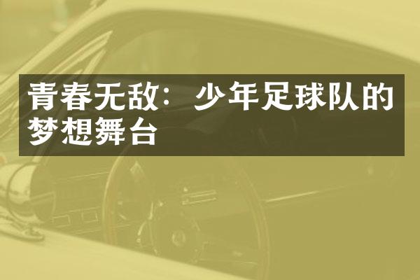 青春无敌：少年足球队的梦想舞台