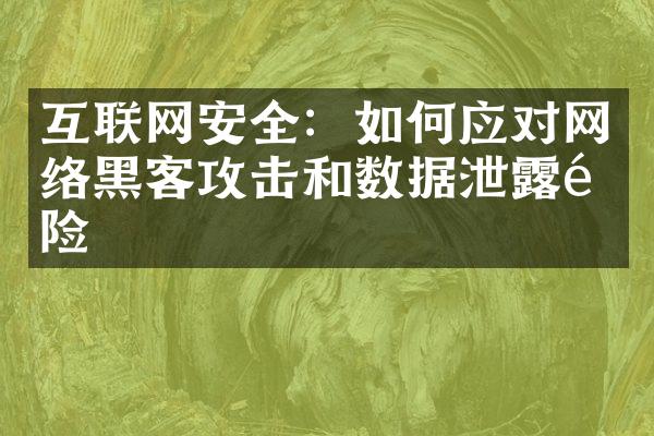 互联网安全：如何应对网络黑客攻击和数据泄露风险