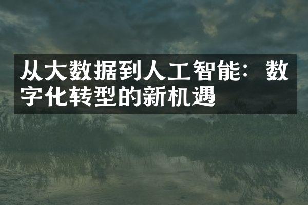 从数据到人工智能：数字化转型的新机遇