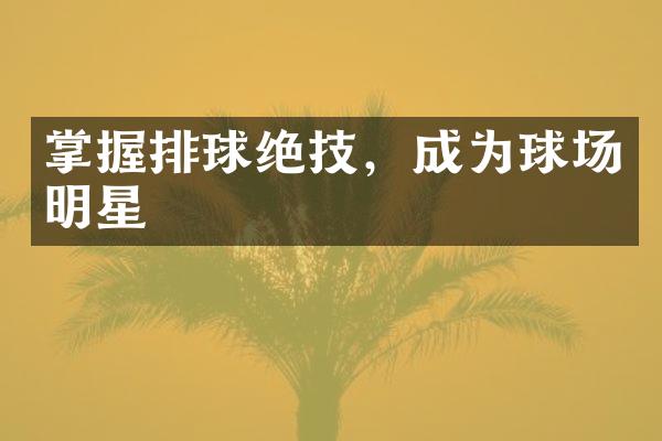 掌握排球绝技，成为球场明星