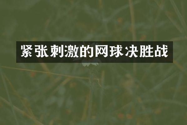 紧张刺激的网球决胜战