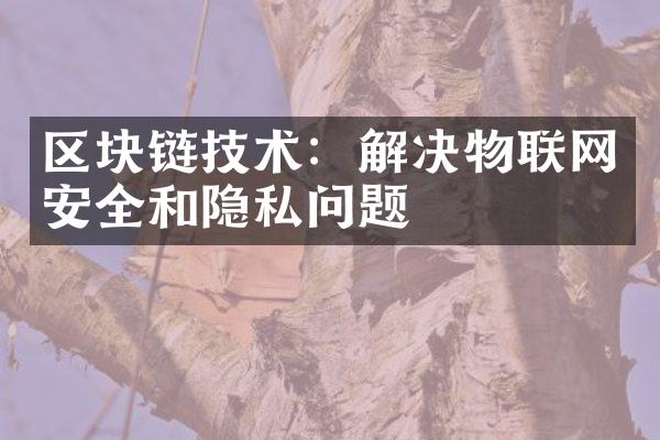 区块链技术：解决物联网安全和隐私问题