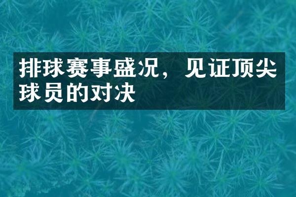 排球赛事盛况，见证顶尖球员的对决