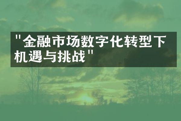 "金融市场数字化转型下的机遇与挑战"