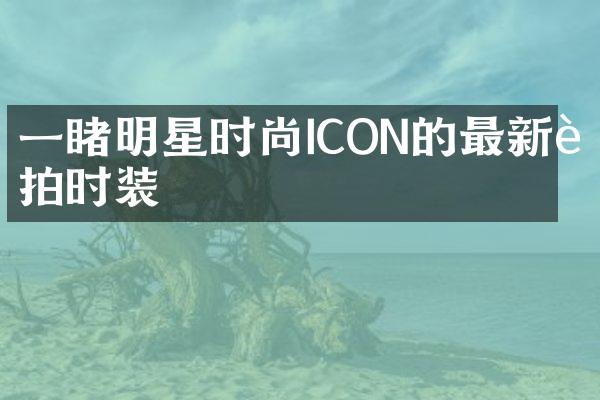 一睹明星时尚ICON的最新街拍时装