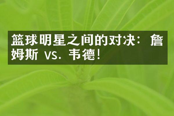 篮球明星之间的对决：詹姆斯 vs. 韦德！