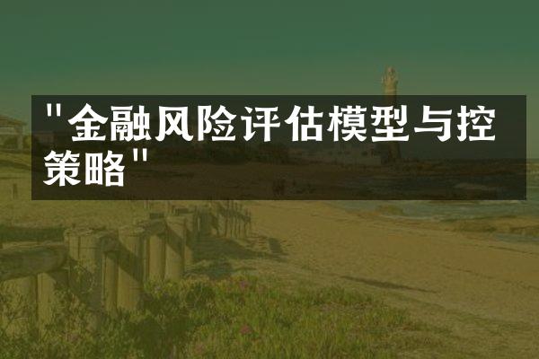 "金融风险评估模型与控制策略"