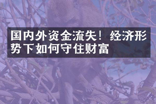 国内外资金流失！经济形势下如何守住财富