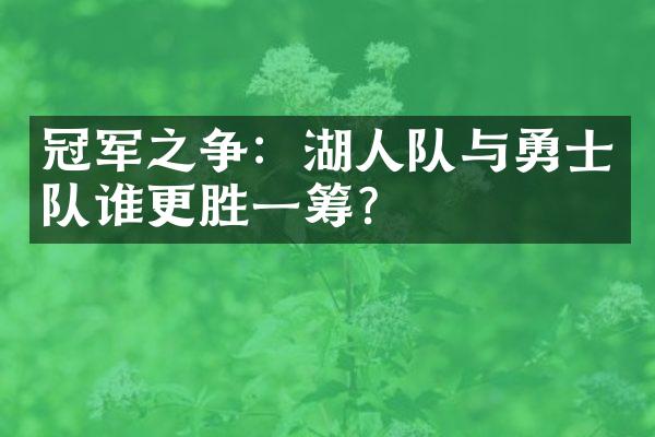 冠军之争：湖人队与勇士队谁更胜一筹？