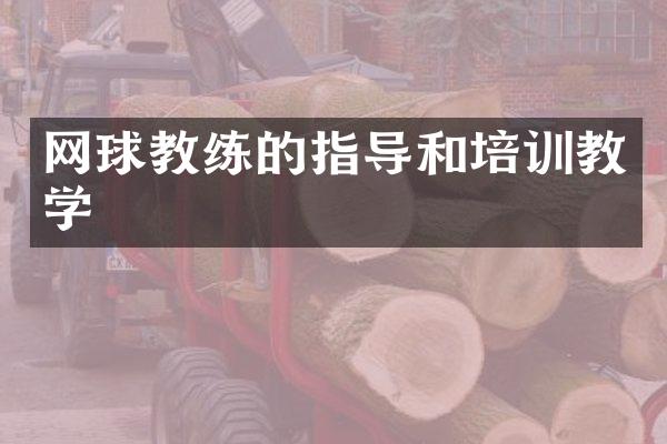 网球教练的指导和培训教学