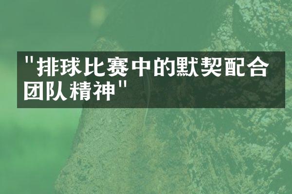 "排球比赛中的默契配合和团队精神"