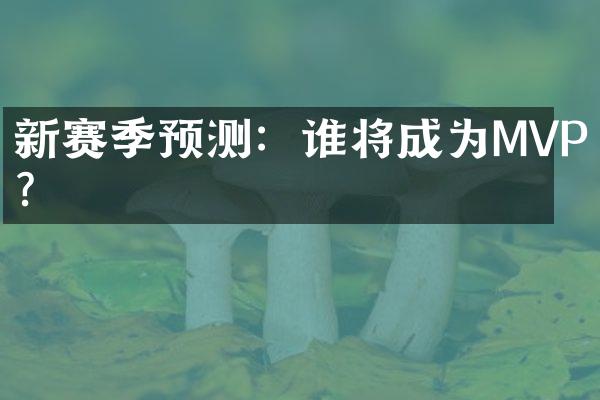 新赛季预测：谁将成为MVP？