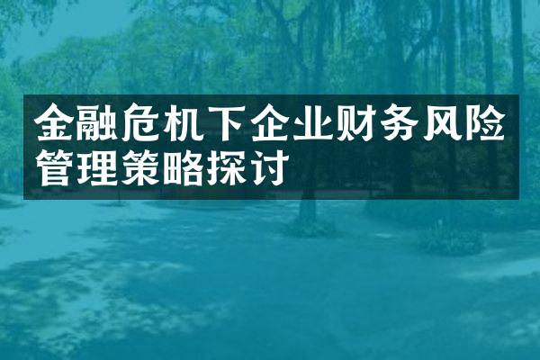 金融危机下企业财务风险管理策略探讨