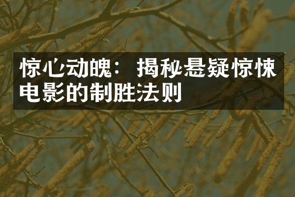 惊心动魄：揭秘悬疑惊悚电影的制胜法则