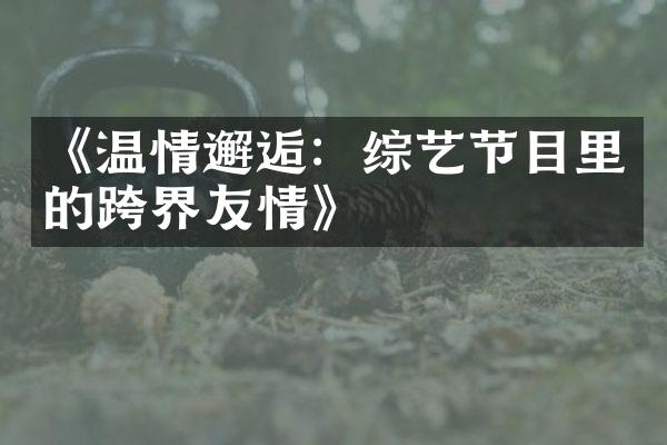 《温情邂逅：综艺节目里的跨界友情》