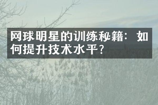 网球明星的训练秘籍：如何提升技术水平？