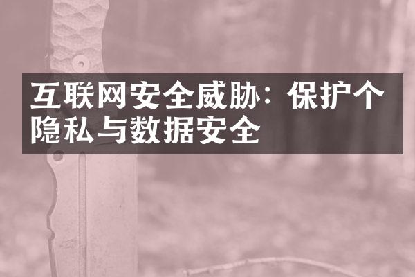 互联网安全威胁: 保护个人隐私与数据安全