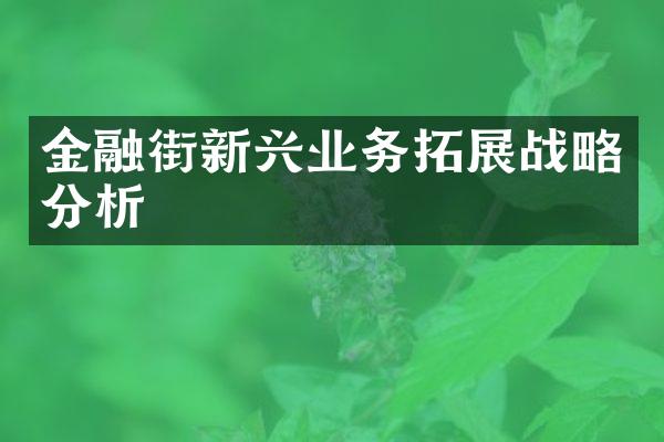 金融街新兴业务拓展战略分析