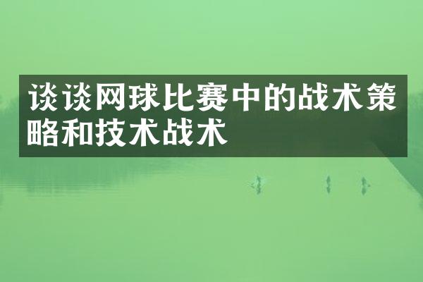 谈谈网球比赛中的战术策略和技术战术