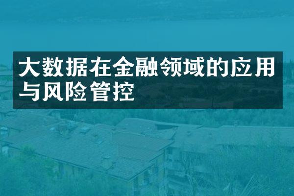 大数据在金融领域的应用与风险管控