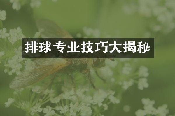 排球专业技巧揭秘