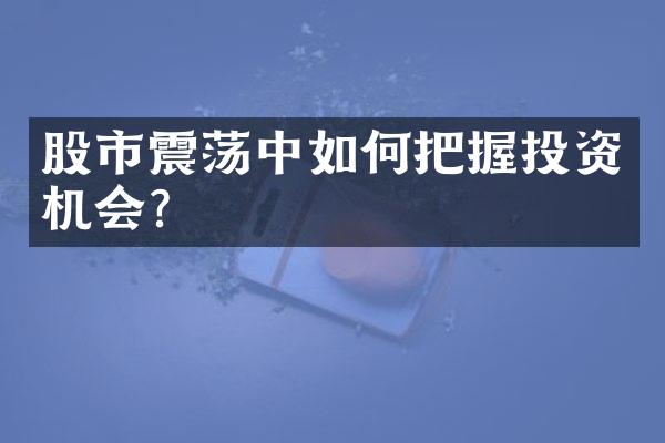 股市震荡中如何把握投资机会？