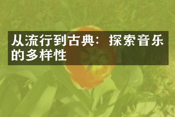 从流行到古典：探索音乐的多样性