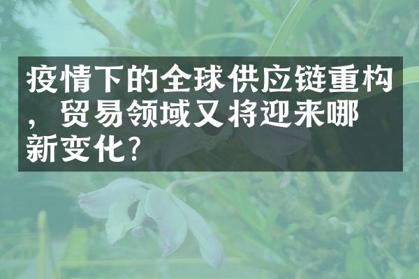 疫情下的全球供应链重构，贸易领域又将迎来哪些新变化？