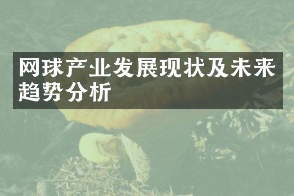 网球产业发展现状及未来趋势分析