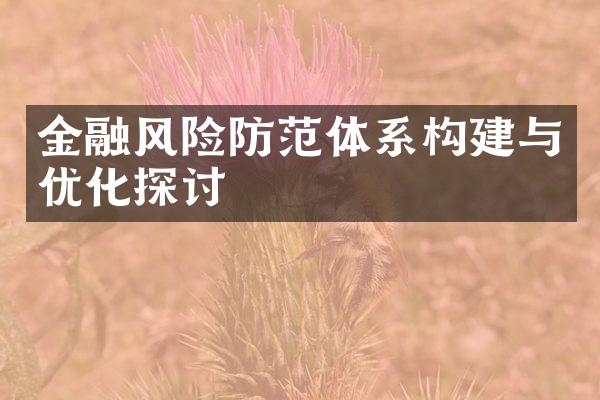 金融风险防范体系构建与优化探讨