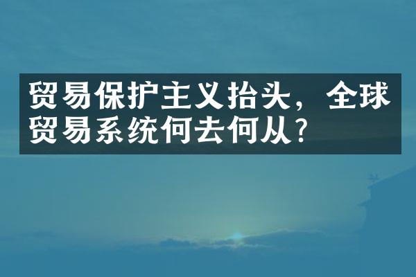 贸易保护主义抬头，全球贸易系统何去何从？