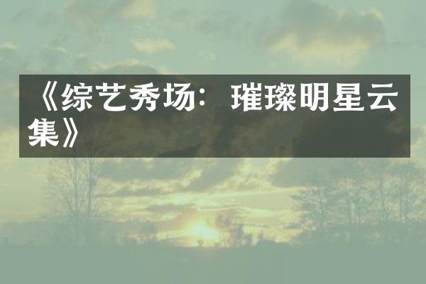 《综艺秀场：璀璨明星云集》