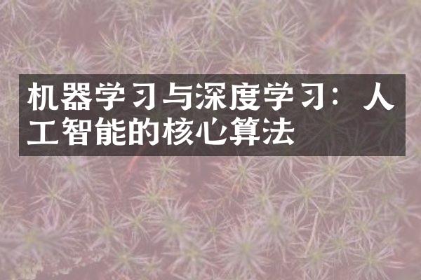 机器学习与深度学习：人工智能的核心算法