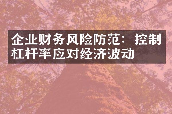 企业财务风险防范：控制杠杆率应对经济波动