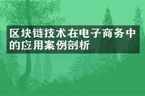 区块链技术在电子商务中的应用案例剖析