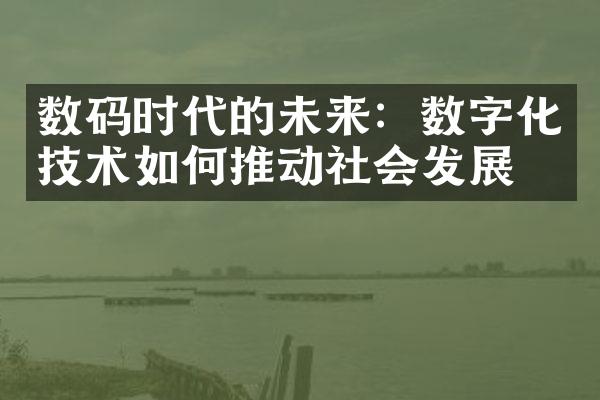 数码时代的未来：数字化技术如何推动社会发展？