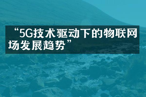 “5G技术驱动下的物联网市场发展趋势”