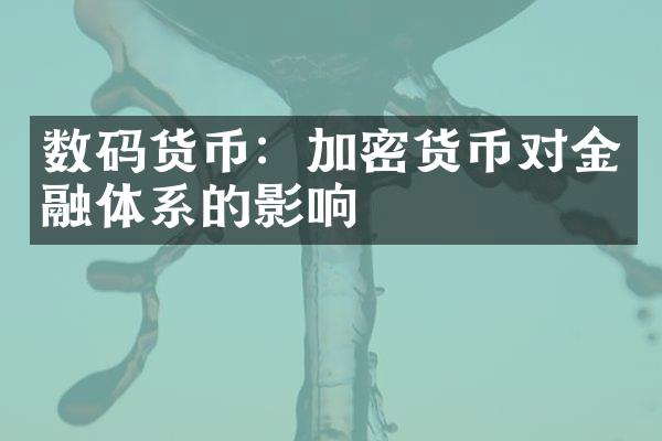 数码货币：加密货币对金融体系的影响