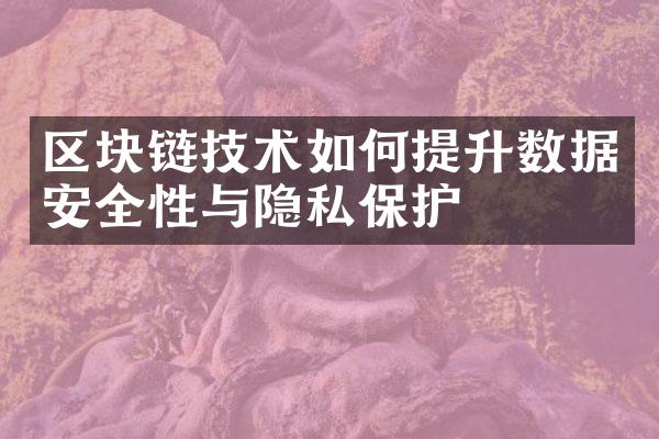 区块链技术如何提升数据安全性与隐私保护